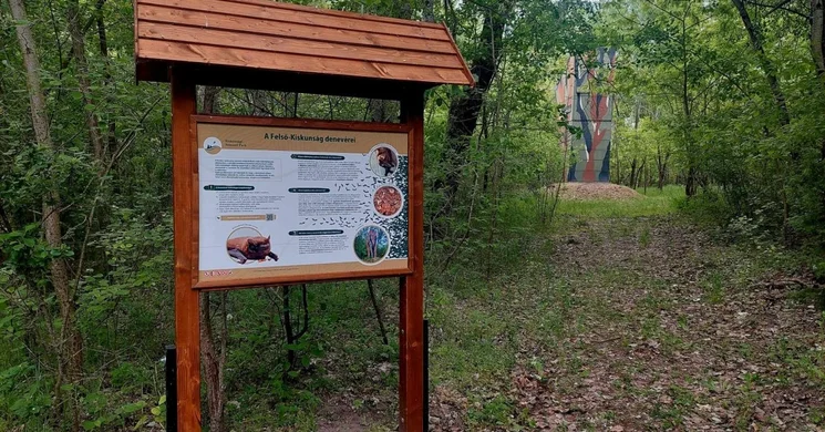 Kosbor tanösvény, ökotúra a a Turjánvidék láp- és mocsárvilágában