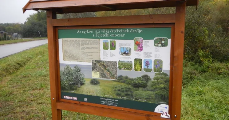 Kiskunhalas tanösvény, gyalogtúra a Fejetéki-mocsárvilágban