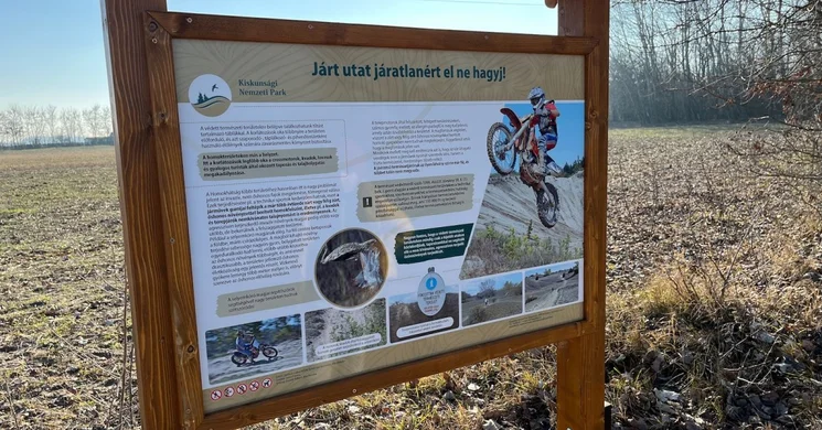 Fülöpházi homokbuckák, gyalogtúra Közép–Európa egyik legnagyobb területű homokvidékén