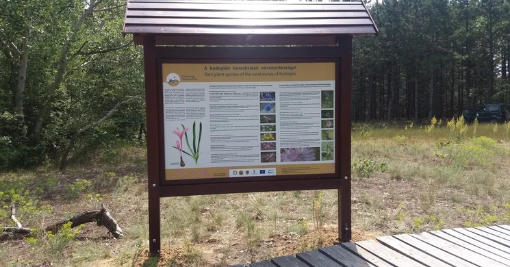 Kiskunmajsa túra, séta a Tartós szegfű tanösvényen