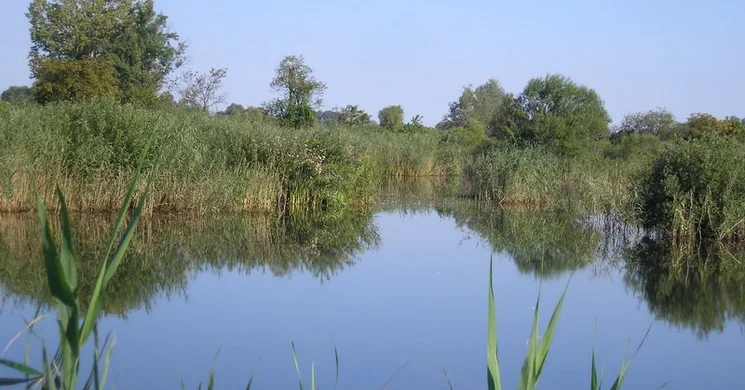 Madarak és Fák Napja a Kiskunsági Nemzeti Parkban 2025