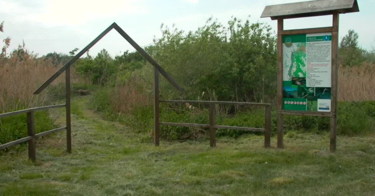 Vörös mocsár tanösvény, ökotúra a tőzeges mocsárparton Császártöltésen