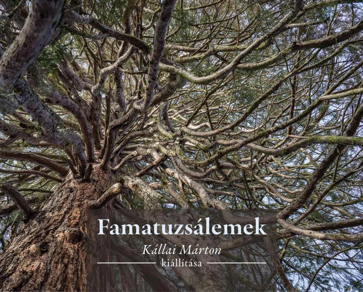 Vajdahunyadvár kiállítás 2025 Budapest. Időszaki kállítások a Magyar Mezőgazdasági Múzeumban