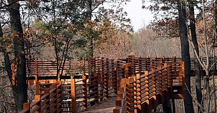 Karcagi Parkerdő és Lombkorona sétány