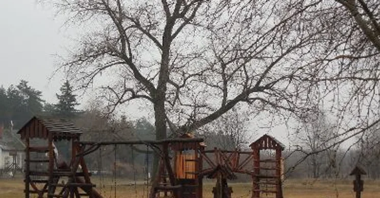 Putrisarki Parkerdő