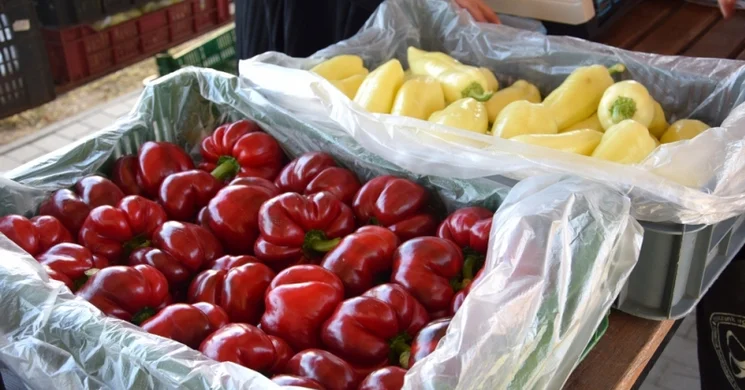 Petőfiszállási Termelői Piac 2025