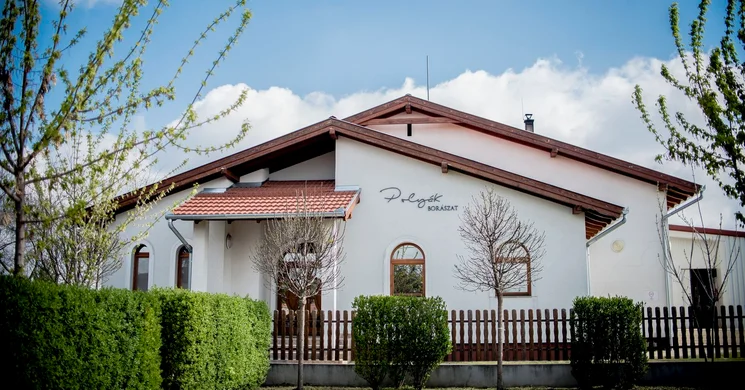 Polyák Borászat - Szent Vince Pincészet