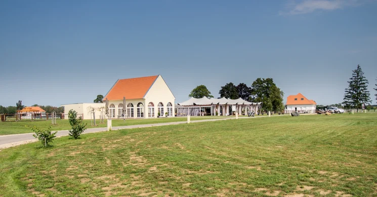 Pro Village - Franciska Major Sopronkövesd