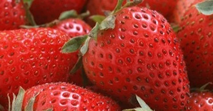 Rózsa Pálinkafőzde és Kóstolóház