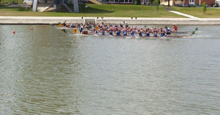 Egyetemi Regatta 2025. Egyetemi Sárkányhajó Bajnokság