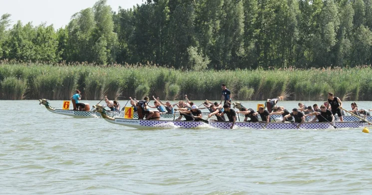 Fadd-Dombori Sárkányhajó versenyek 2025