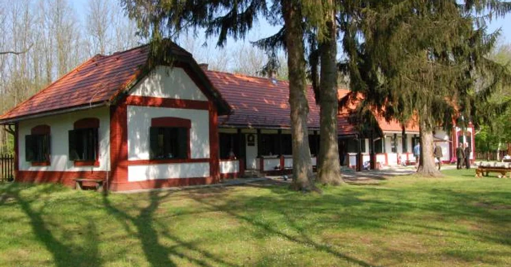 Sziágyi Erdészeti Erdei Iskola