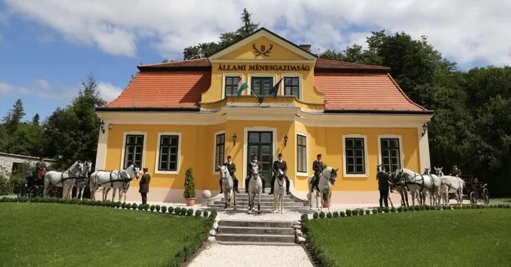 Állami Ménesgazdaság Szilvásvárad