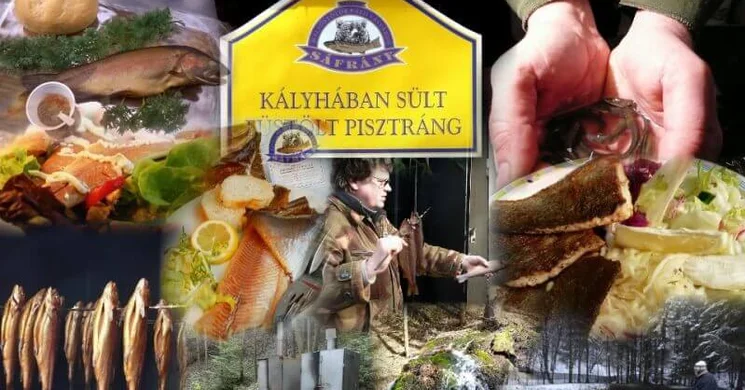 Szilvásváradi pisztráng kóstolás a Szalajka-völgyben
