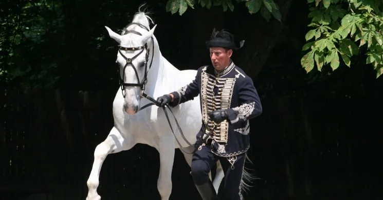 Lovas programok Szilvásvárad 2026. Események, rendezvények