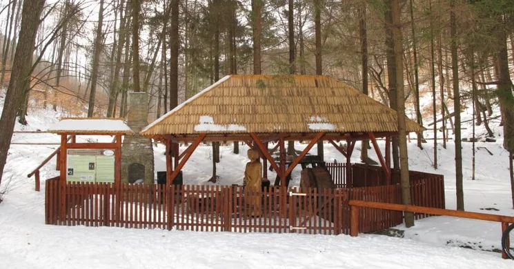 Szabadtéri Erdei Múzeum