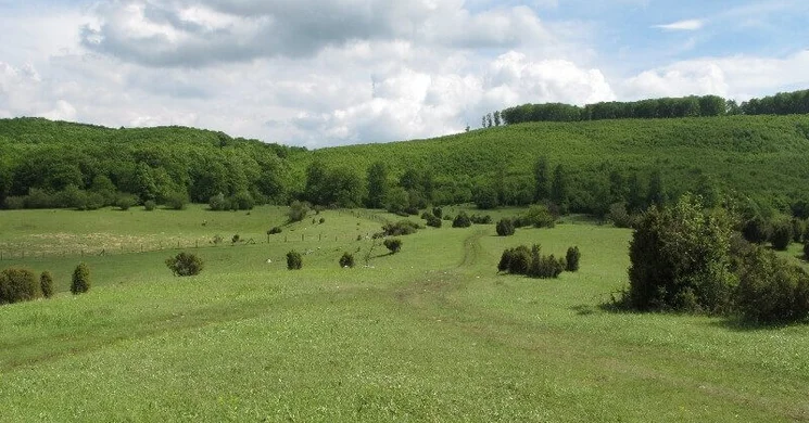 Nagymező-Kis-kőháti-Zsomboly tanösvény Szilvásvárad, ökotúra a Bükki Nemzeti Parkban
