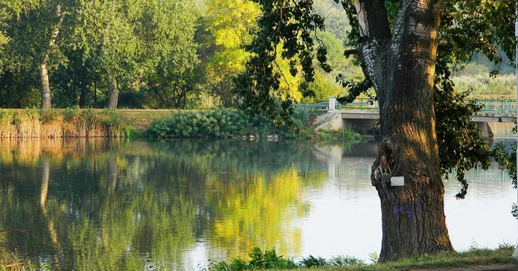 Tiszalöki programok 2026. Események, rendezvények