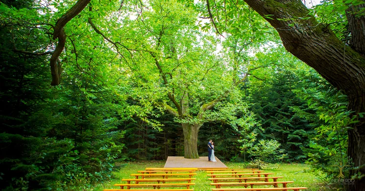 Tündérerdő Pihenőpark és Rendezvényközpont
