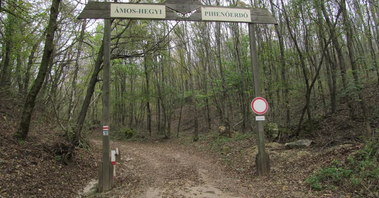 Ámos-hegyi tanösvény Eplény