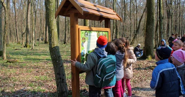 Vadvirág tanösvény Lenti