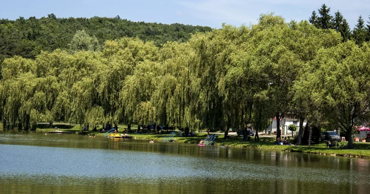 Körtvélyesi tanösvény