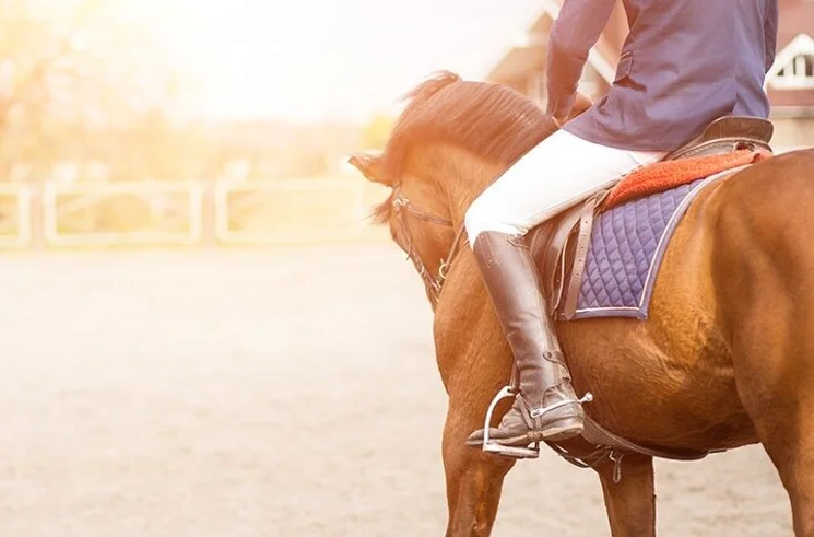 Falusi Olimpia csapatépítő lovas programok Tiszafüreden, a Tisza Balneum Hotelben