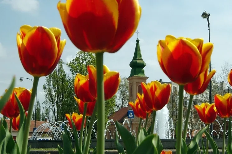 2026. május 1. Gyulán, ünnepi pihenés teljes panzióval és városi programokkal a Wellness Hotel Gyula szállodában