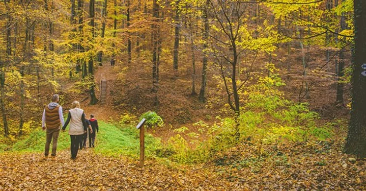 Zalakarosi túraprogramok, túrák és kirándulások Zalakaroson és környékén