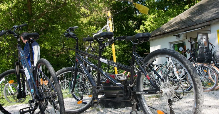 Zilaj Bringa Velence