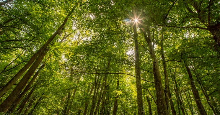 SEFAG programok 2025